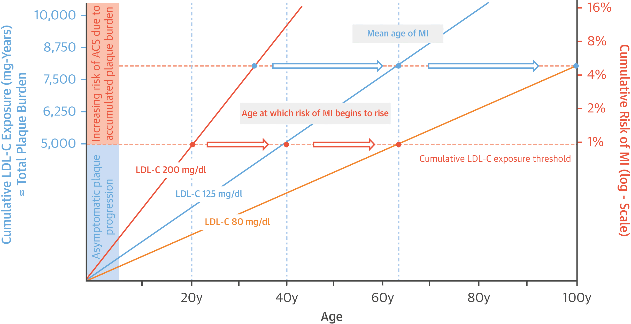 Chart showing cumulative LDL-C exposure over a lifetime at three LDL levels (80, 125, and 200 mg/dL), demonstrating that lower LDL delays when the plaque threshold is crossed and pushes heart attack risk decades later